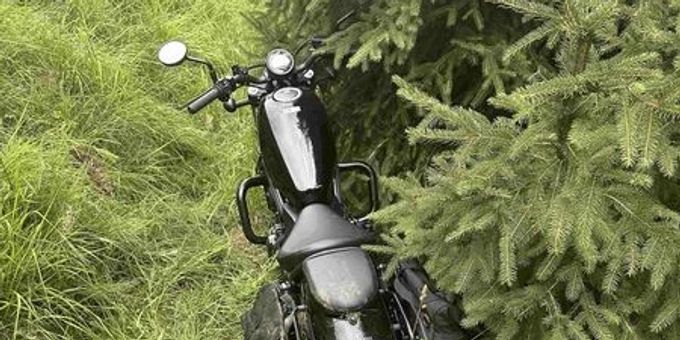 Trogen AR: Motorradfahrer gestürzt. Trogen AR