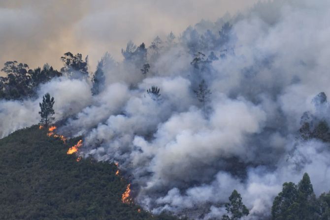 Waldbrand Spanien