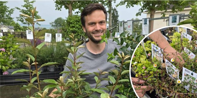 JardinSuisse Thurgau Präsident Rolf Schläpfer kennt das Thema Neophyten gut.
