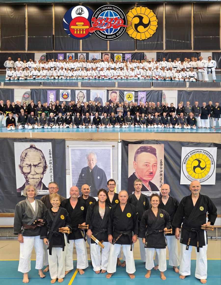 Kampfsportschule Aarau