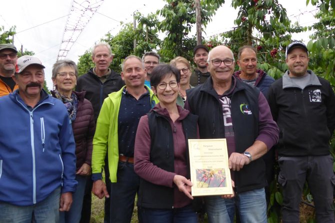 Bauernverband Aargau Kirschen