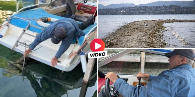 Zürichsee Bootsfahrlehrer Pegel