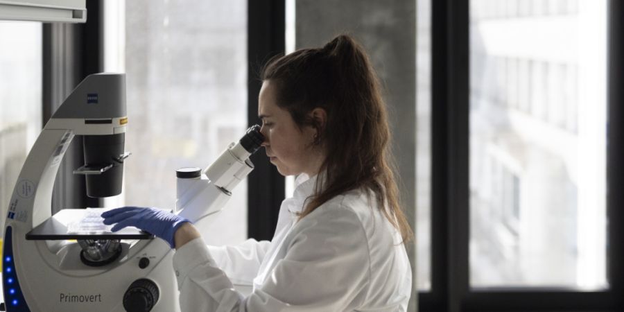 Im ersten Halbjahr 2026 ist schweizweit weniger Geld an Start-up-Firmen geflossen. Besonders deutlich war der Rückgang in der Biotech-Branche.(Symbolbild.