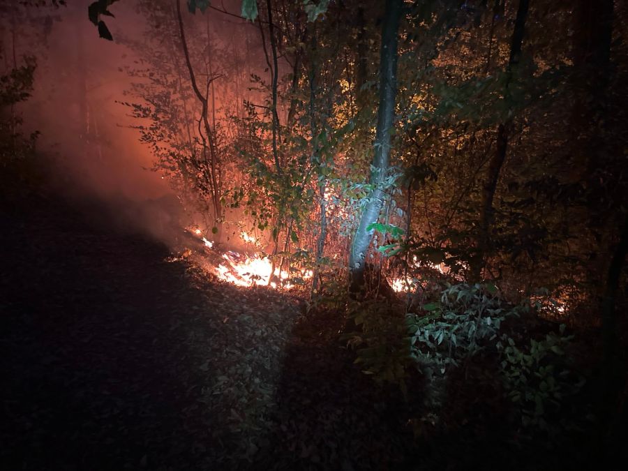 Die Feuerwehr Chestenberg machte diese Fotos vom Waldbrand in Möriken AG.