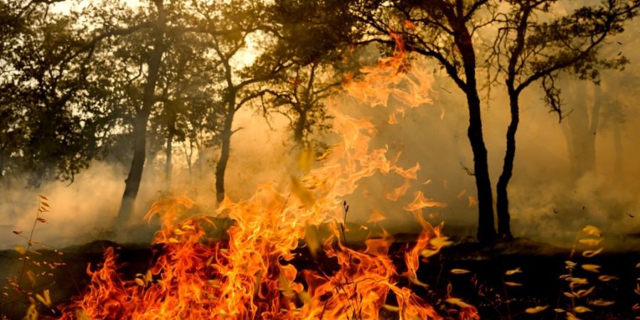Auch Kalifornien war Anfang August von schweren Waldbränden betroffen. Das Bild zeigt das Gann Fire nahe Copperopolis am 4. August. (Archivbild)