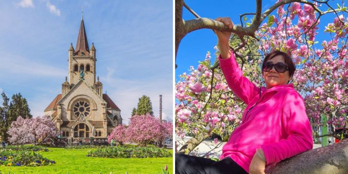 In Basel - Influencer klettern auf Bäume von Kirche – die handelt