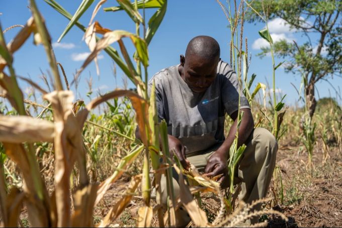 Sambia Farmer Essen
