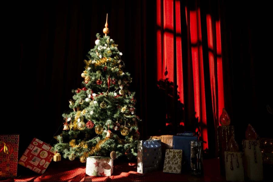 Eine polnische Familie landete nach dem Weihnachtsessen im Spital. (Symbolbild)