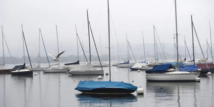 Segelschiffe im Hafen Luzern