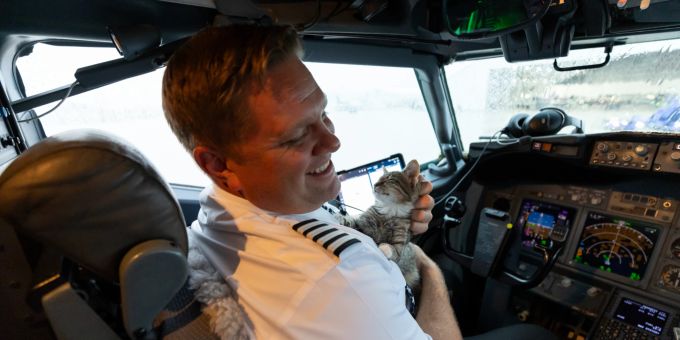 Pilot Matthew Prebish adoptierte noch in der Luft eine Katze. Southwest Airlines Tierrettung Hurrikan