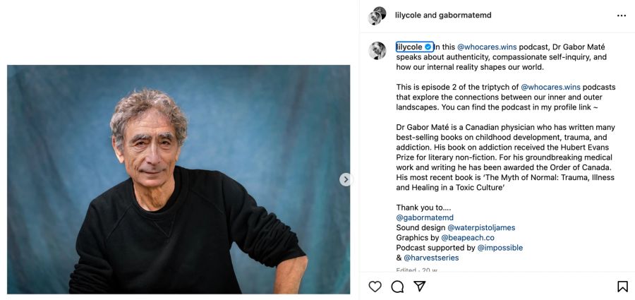 Instagram Dr Gabor Maté.