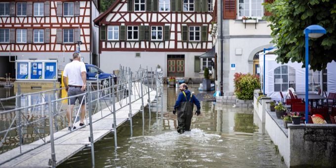 «Bissig» - Bodensee: Jetzt kommen die Überschwemmungs-Mücken!