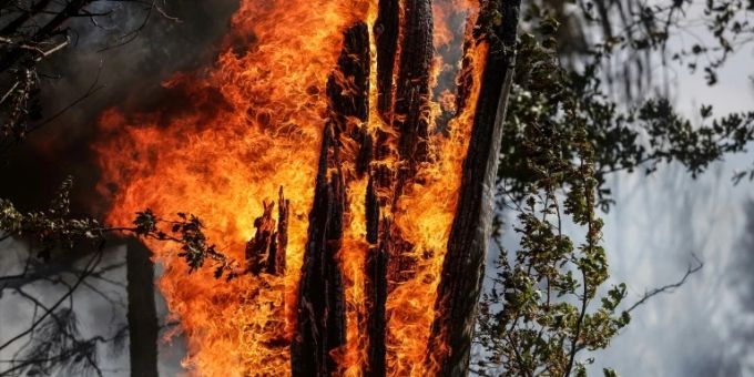 Waldbrand in Saumos saumos waldbrand