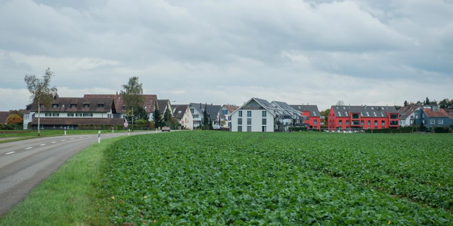 Blick auf die Gemeinde Neerach - Bezirk Dielsdorf