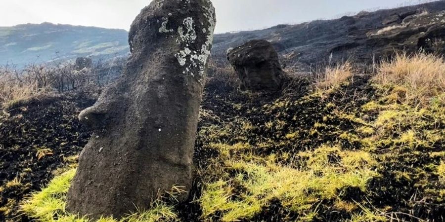 Moai auf Osterinsel