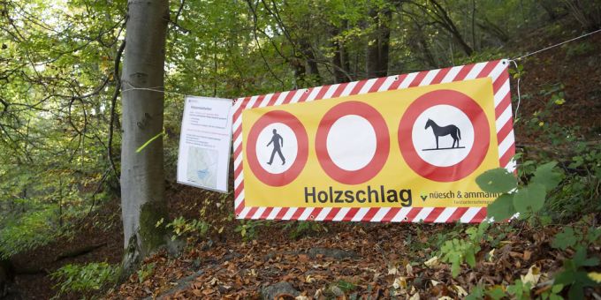 Ein Schild weist auf laufende Forstarbeiten hin. (Symbolbild) Forstarbeit