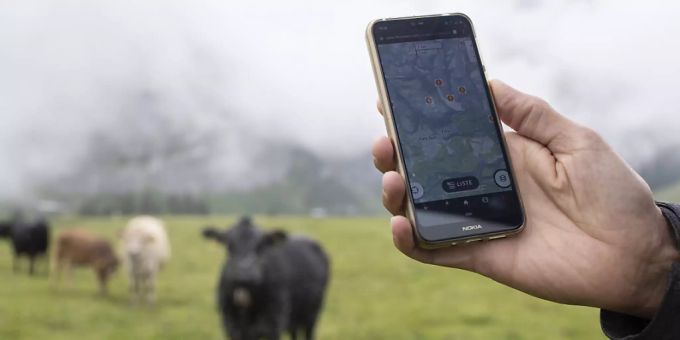 Der genaue Standort der Herden kann über die App von Outdooractive abgerufen werden. Der genaue Standort der Herden kann über die App von Outdooractive abgerufen werden.