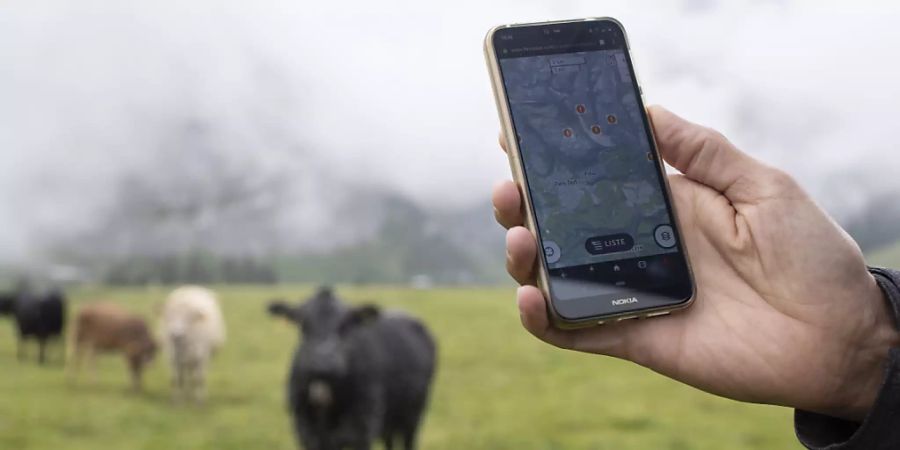 Der genaue Standort der Herden kann über die App von Outdooractive abgerufen werden.