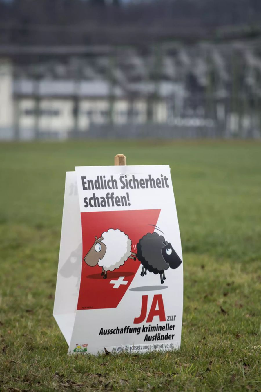 Ein Schäfchen-Plakat der SVP zur Durchsetzungsinitiative entworfen vom Ehemann von Alexia Heine.