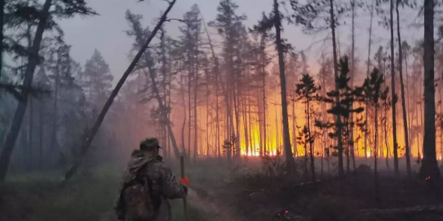 jakutien waldbrand