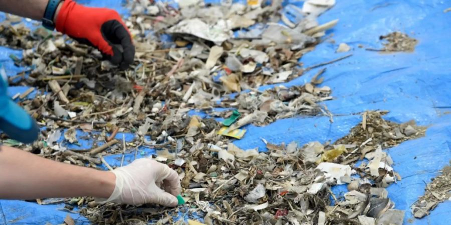 Am Strand eingesammelter Plastikmüll