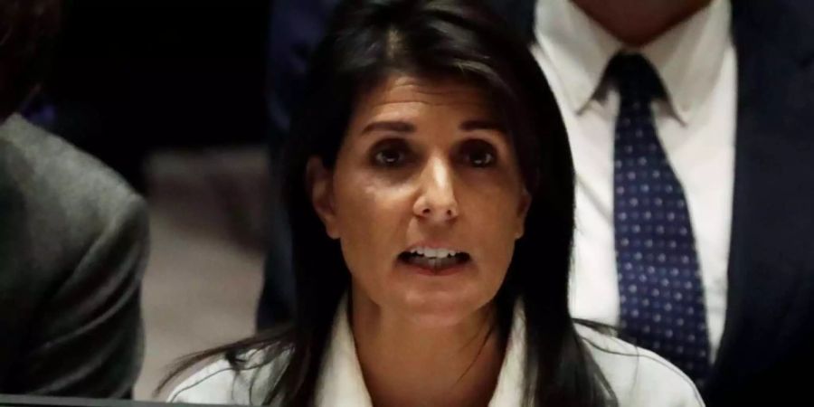 Die US-amerikanische Botschafterin Nikki Haley legte am Donnerstag Beweise vor.