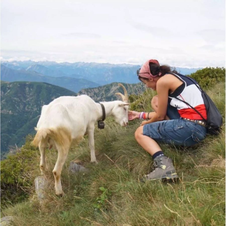 Anita Buri findet während dem Wandern Zeit, eine Ziege zu streicheln.