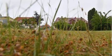 Coronavirus Grundstückpreise Schätzung