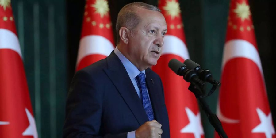 Recep Tayyip Erdogan, Präsident der Türkei, bei einer Rede vor türkischen Botschaftern im Präsidentenpalast am 13. August 2019 in Ankara.