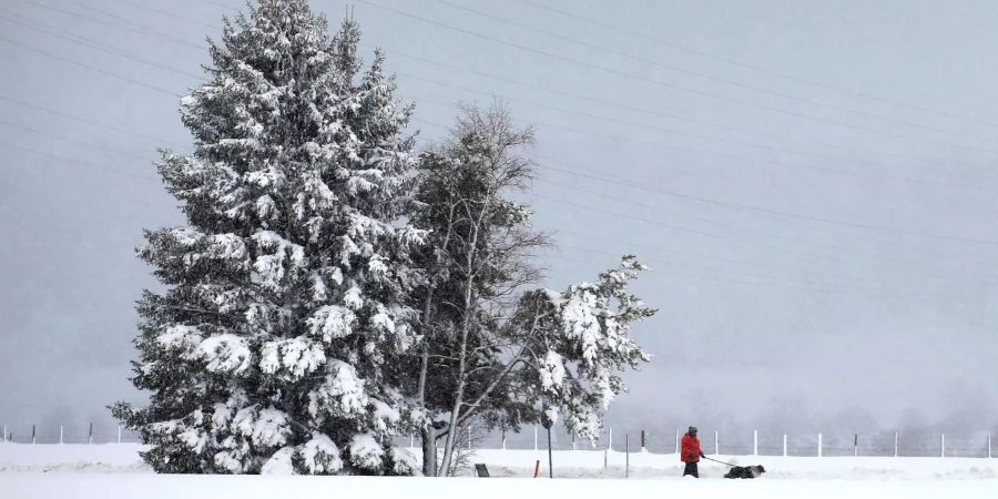 Wintereinbruch in Bayern