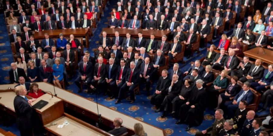 Trumps Rede vor dem Kongress vor einem Jahr