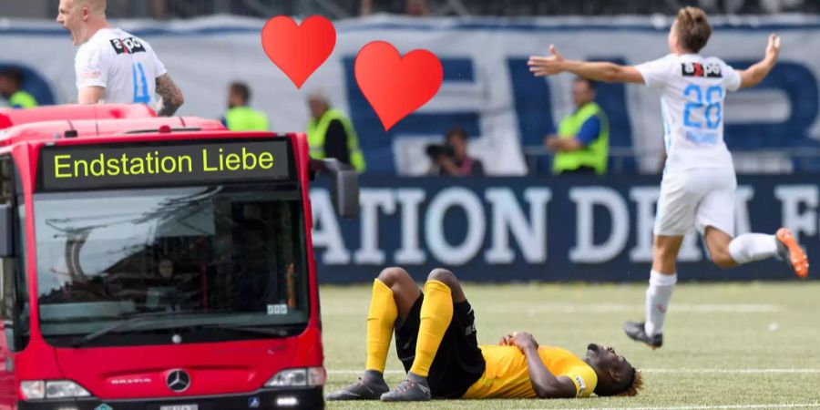 Die Bernerin sucht ihre grosse Bus-Liebe (Bildmontage).