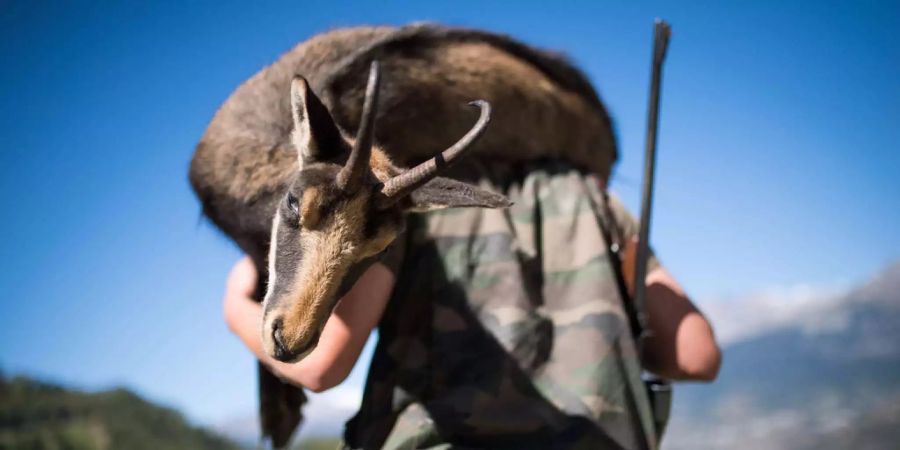 Jäger aus der ganzen Welt kommen ins Wallis zur Hochjagd.