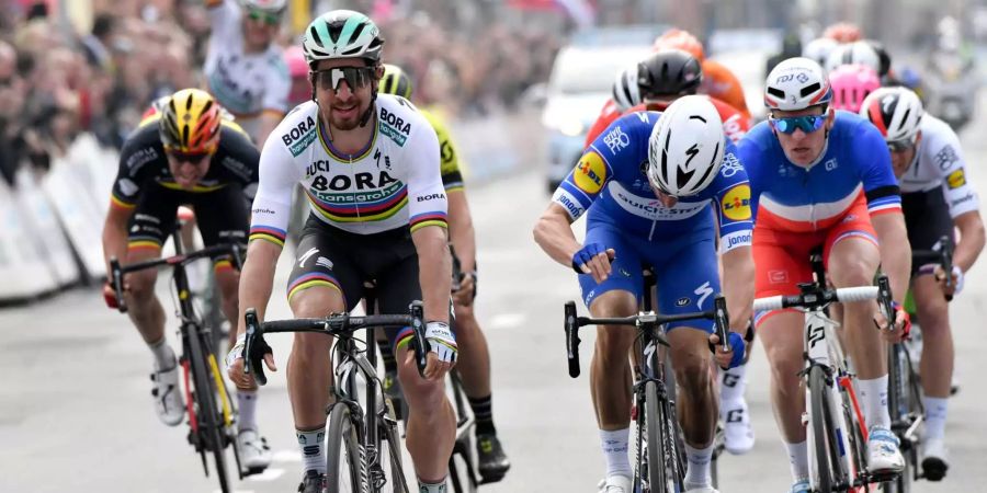 Weltmeister Peter Sagan triumphiert in Belgien.