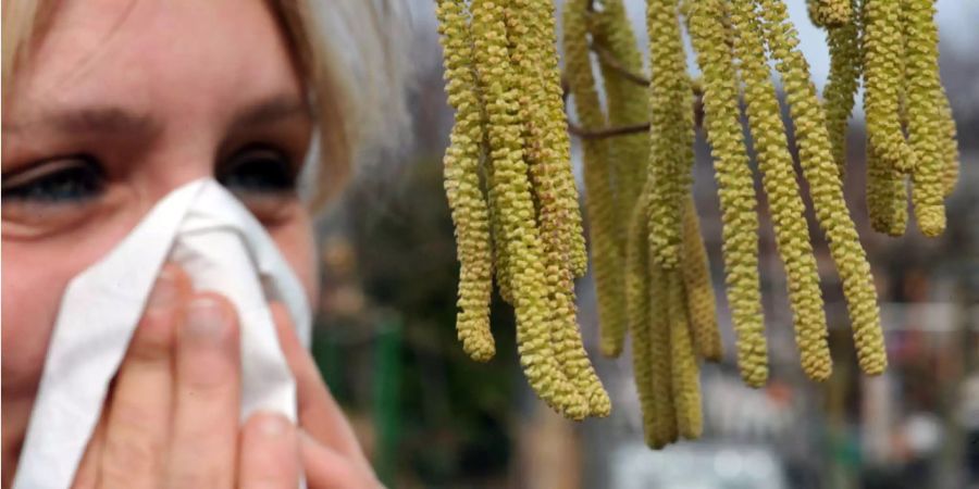 Desensibilisierung kann helfen, den Körper Schritt für Schritt an die Allergene zu gewöhnen.