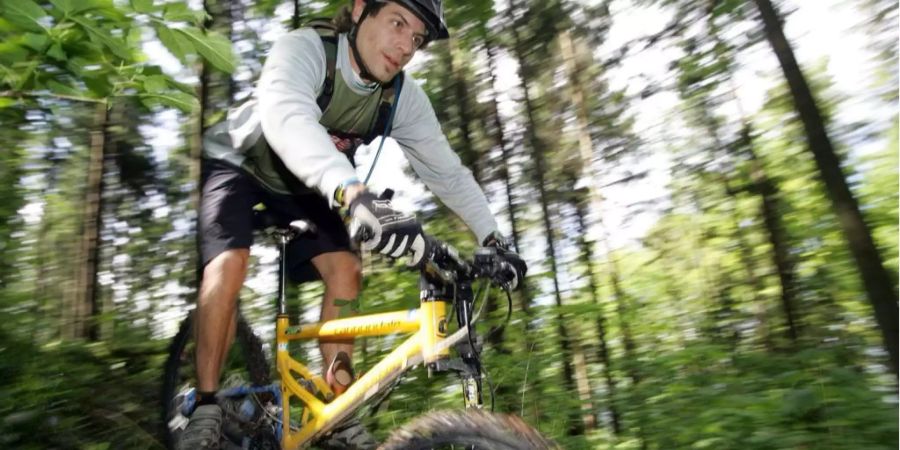 Ein Biker unterwegs auf dem Uetliberg.