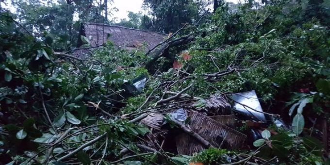 Bei einem Unwetter wurden in Costa Rica zwei Schweizer im Schlaf von einem Baum erschlagen. Bei einem Unwetter wurden in Costa Rica zwei Schweizer im Schlaf von einem Baum erschlagen.