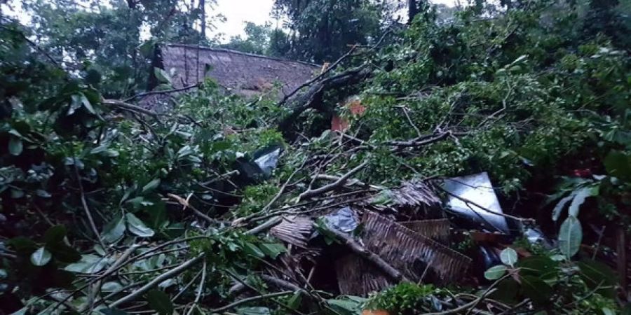 Bei einem Unwetter wurden in Costa Rica zwei Schweizer im Schlaf von einem Baum erschlagen.