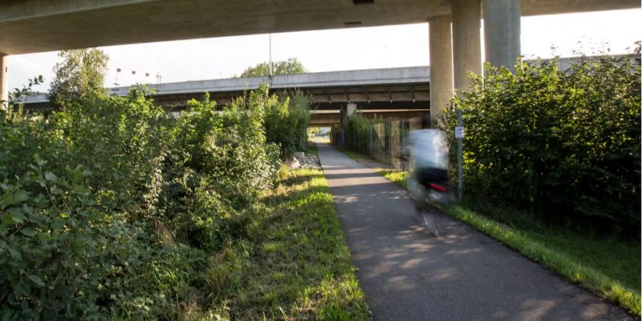 Am Dammweg in Emmen LU wurde am 21. Juli 2015 eine Frau vergewaltigt.