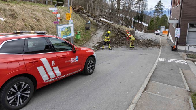 Ein Föhnsturm fordert die Einsatzkräfte. Kanton Zug: Föhnsturm
