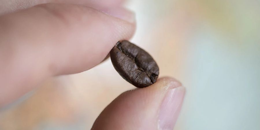 Auf Verbraucherinnen und Verbrauchern könnten aus Sicht der Kaffeeindustrie ab kommendem Jahr Versorgungsengpässe und höhere Preise zukommen. (Symbolbild)