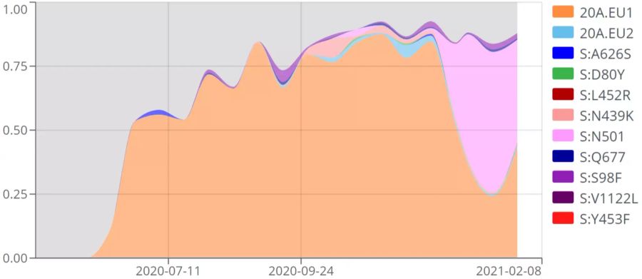 Die Anteile der verschiedenen Gruppen von Varianten des Coronavirus in Spanien. Lange waren vor allem die Klade 20A.EU1 dominant, die sich später auch in anderen europäischen Ländern wie der Schweiz ausbreitete.. Die Gruppe «S:N501» in Pink sind Varianten, welche die Mutation N501Y tragen, wie unter anderem die britische Variante. Grau sind nicht näher bestimmte Varianten.