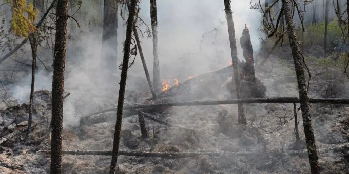 Seit Wochen brennen in Sibirien die Wälder. waldbrand sibirien