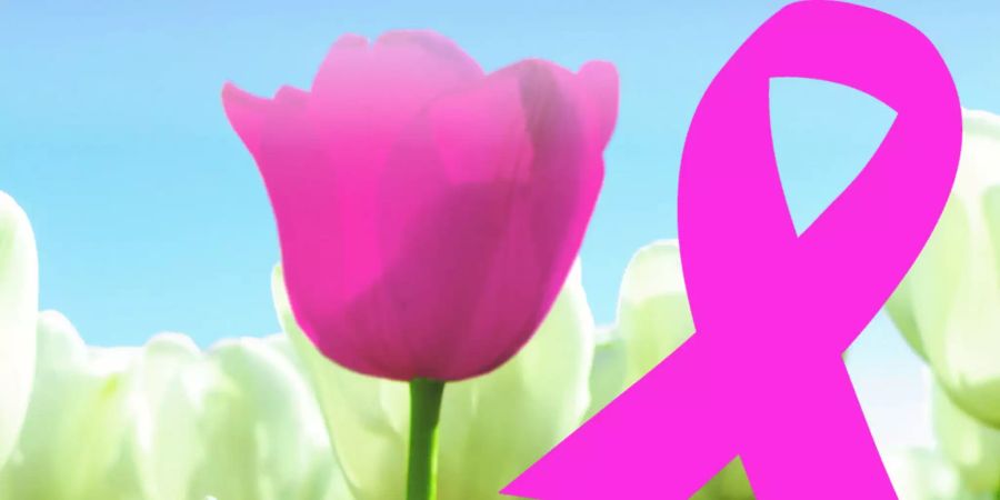 1 Tulpe fürs LEBEN
