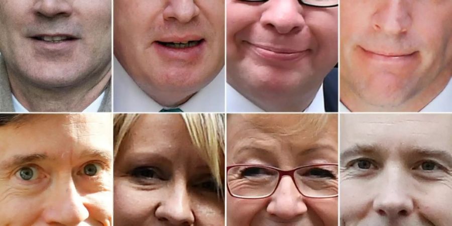 Die acht Bewerber auf Mays Nachfolge