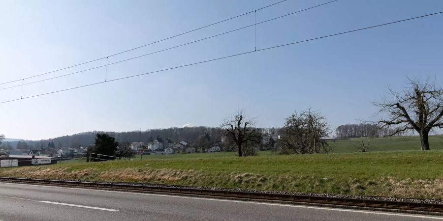 Die Landschaft bei Hallwil bei Seon.