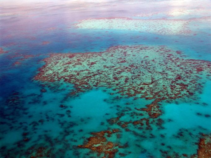 Das Great Barrier Reef ist von einer erneuten Korallenbleiche betroffen. great barrier reef