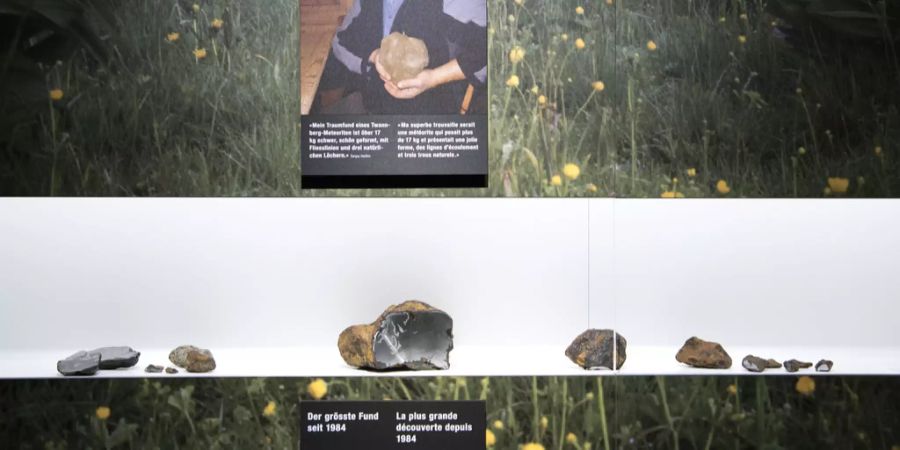 Naturhistorischen Museum in Bern.