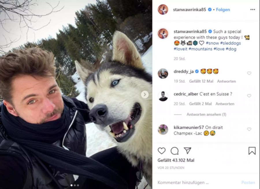 Stan Wawrinka posiert auf Instagram mit Huskies.