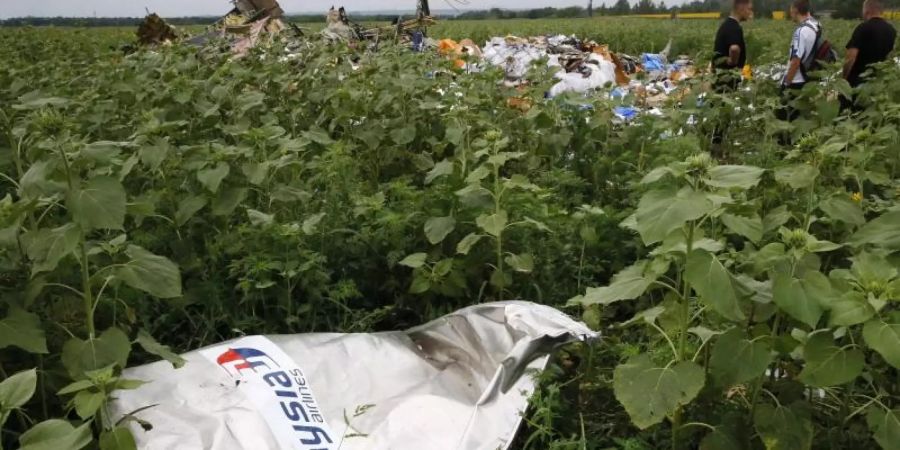 Ein Teil des Wracks der Boeing 777 der Malaysia Airlines liegt an der Absturzstelle nahe Donetsk. Foto: Zurab Dzhavakhadze/dpa